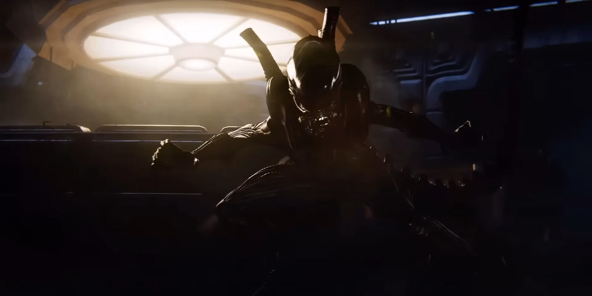 mastering-the-ultimate-hunter-my-2026-xenomorph-domination-guide-for-dead-by-daylight-image-2