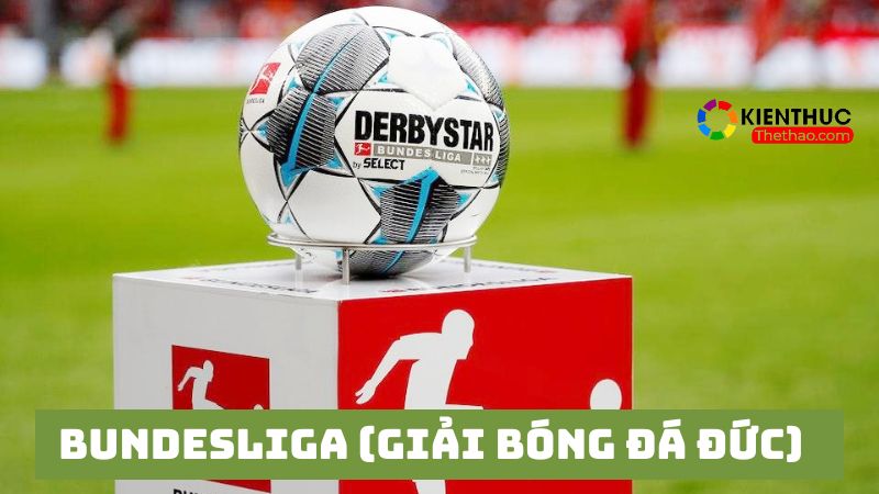 Đôi nét về giải bóng đá vô địch quốc gia Đức - Bundesliga