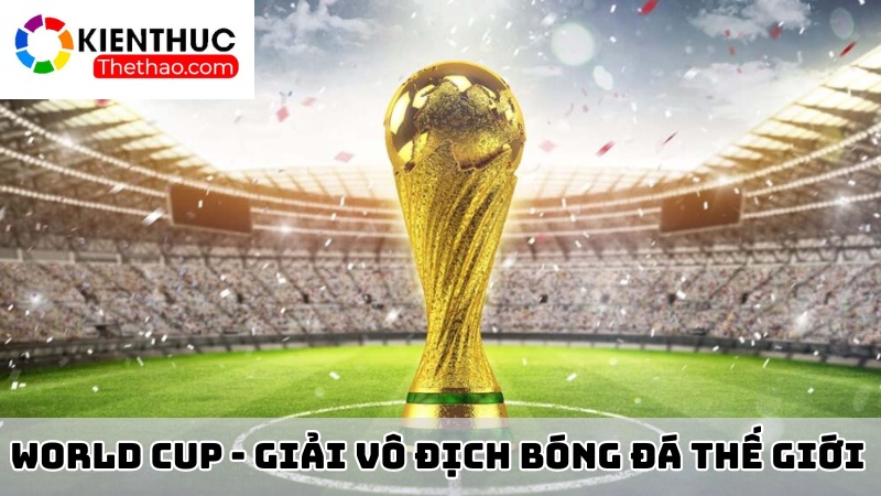 FIFA World Cup - Một trong các giải đấu vô địch quốc tế 