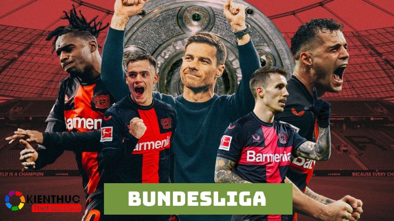 Bundesliga là giải đấu bóng đá có hạng cao nhất nước Đức