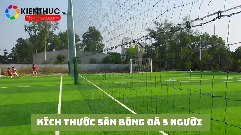 Kích thước sân bóng 5 người được FIFA quy định cụ thể 