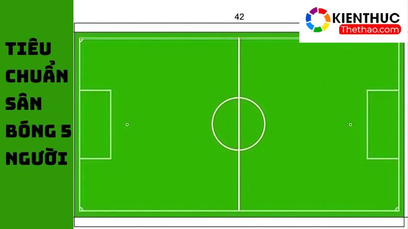 Thông tin về kích thước tiêu chuẩn cho sân bóng 5 người 