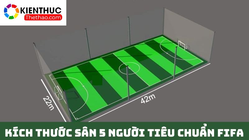 Kích thước sân bóng 5 người theo tiêu chuẩn của FIFA 