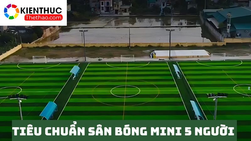 Tiêu chuẩn phổ biến sân bóng mini 5 người 