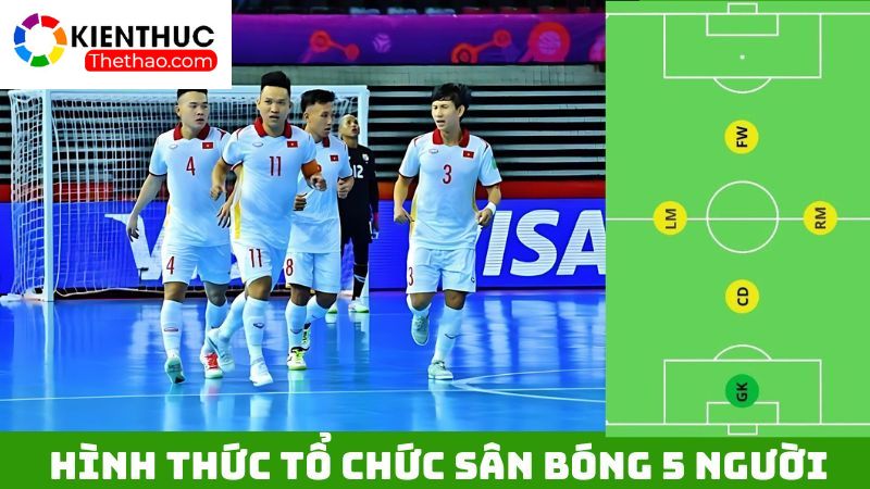 Phân biệt các hình thức tổ chức sân bóng phổ biến 