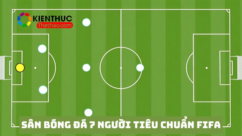 Kích thước sân bóng 7 người theo tiêu chuẩn Liên đoàn bóng đá Quốc tế FIFA