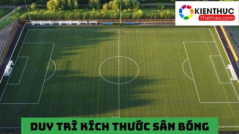 Sự linh hoạt trong duy trì kích thước sân 9 người 